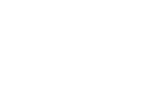 Disco Fever Music Disco Fever Music
